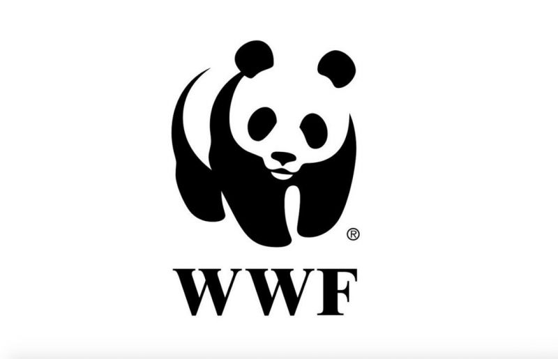 Keszthelyi_Vivien_autoversenyzo_WWF